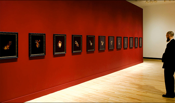 JOEY Morgan COmparative Anatomies installation at University of Sherbrooke